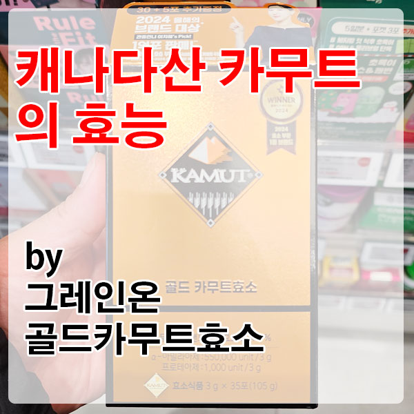 캐나다산 카무트와 소화효소의 만남, 그레인온 골드카무트효소