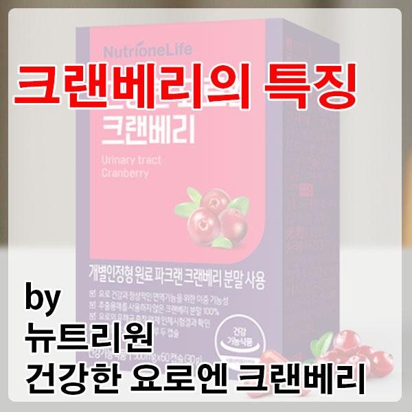 항산화부터 여성의 요로 건강까지, 원료가 다른 크랜베리