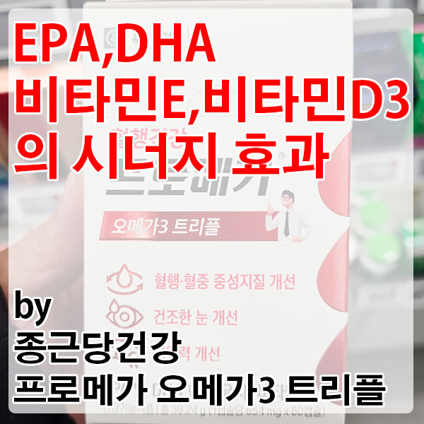EPA DHA 오메가3 효능과 비타민E, D3 시너지로 혈행, 뇌, 눈 건강 지키는 법