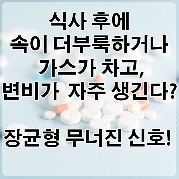 식사 후에 속이 더부룩하거나 가스가 차고, 변비가 자주 생긴다? 장균형이 무너진 신호! 장 건강 영양제 추천